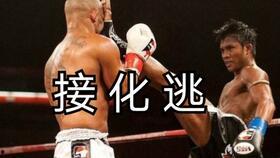 拳线视频在线观看,精彩对决，在线观看的激战盛宴